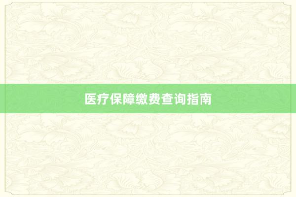 医疗保障缴费查询指南