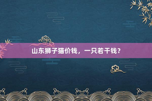 山东狮子猫价钱，一只若干钱？