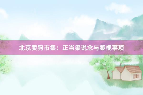 北京卖狗市集：正当渠说念与凝视事项